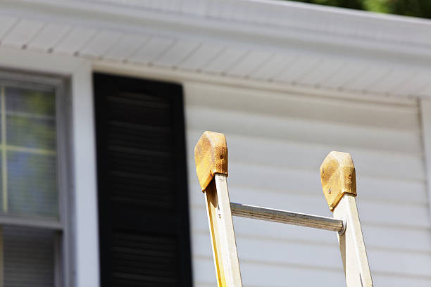 Best Siding Replacement  in USA